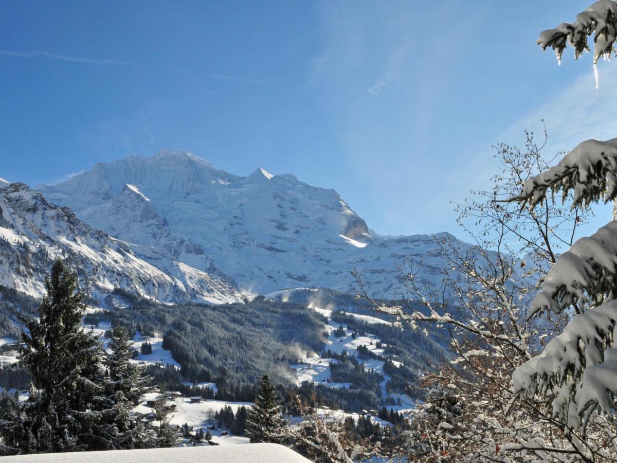 Apartment Sulegg By Interhome Wengen Extérieur photo